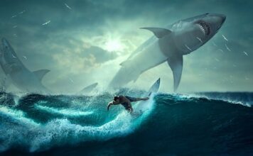 Jak szybko wysuszyć liście do zielnika?