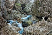 Kiedy dźwignia jest w równowadze? Kiedy dźwignia jest w równowadze?