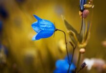 Jakie zasilanie do dzwonka?