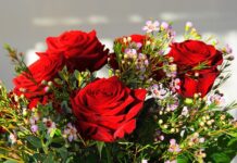 Ile kosztuje najdroższy samochód w Polsce?