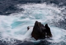 Jaka jest cena nowego Mitsubishi ASX?