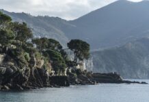 Ile kosztuje nowy Citroen C4 Cactus?