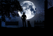 Jakich obrazów nie wieszać w domu?