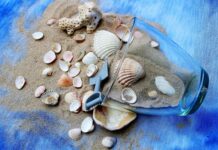 Co można zrobić z muszelek? Co można zrobić z muszelek?