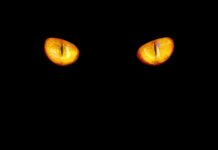 Która barwa lepsza ciepłą czy zimną?