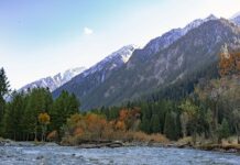 Jak zaprojektować etykietę?