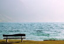 Jaki jest rekord prędkości?