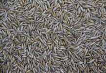 Co jest produkowane w Tychach? Co jest produkowane w Tychach?